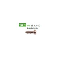 Vite autofilettante 2.5 1.4 4.0  - 9000000005206